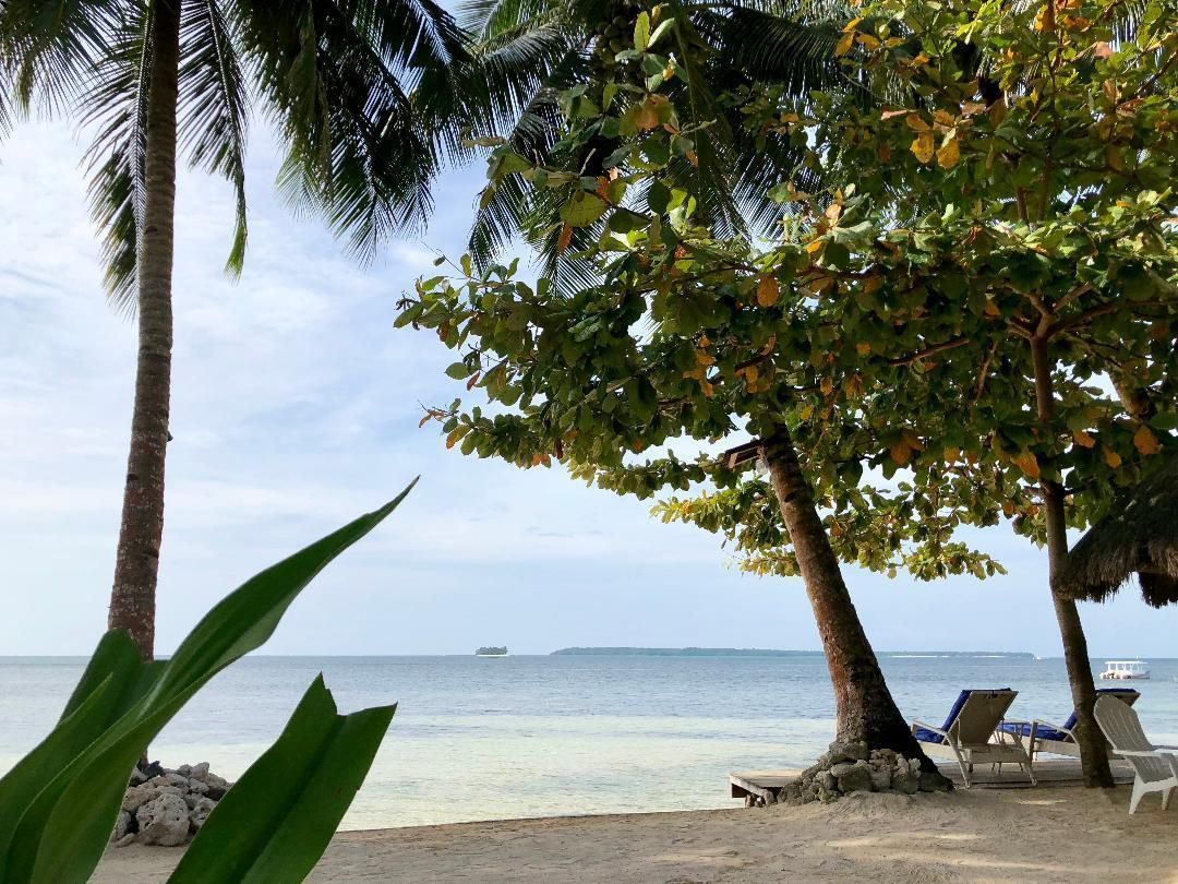 ชายหาด