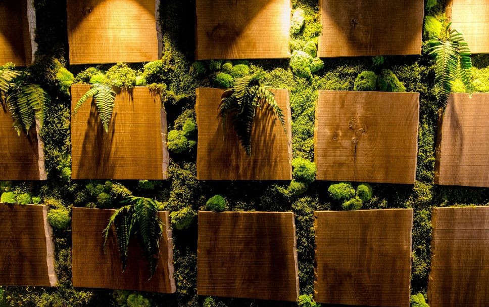 บาร์ รูปภาพ