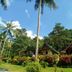 วิวภายนอก