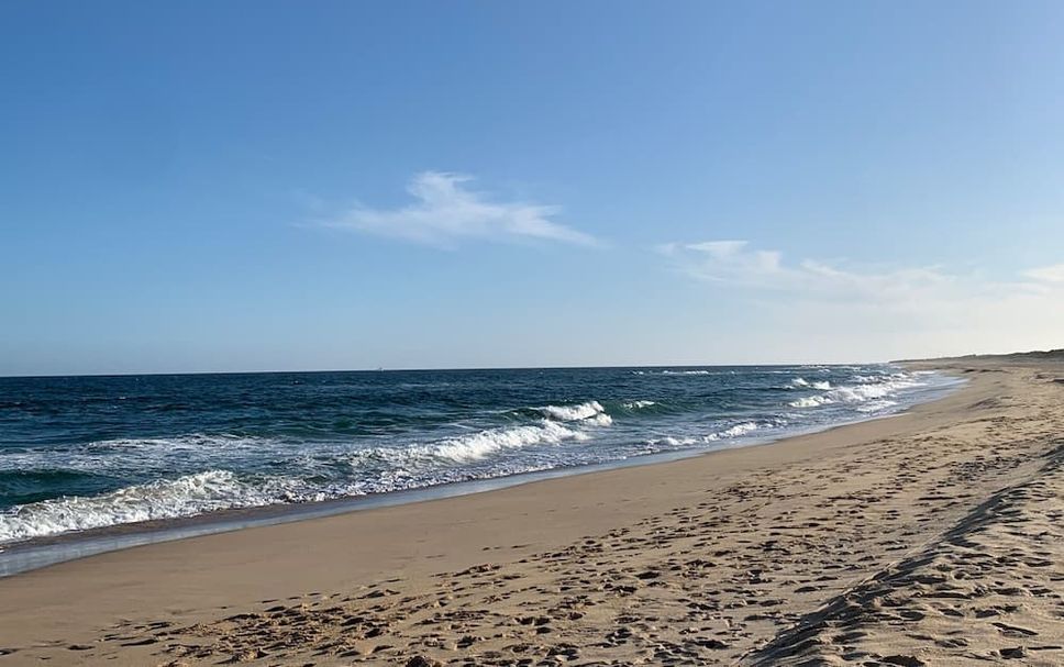ชายหาด รูปภาพ