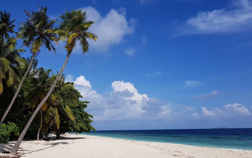 ชายหาด รูปภาพ