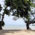ชายหาด