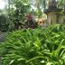 วิวภายนอก