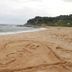 ชายหาด