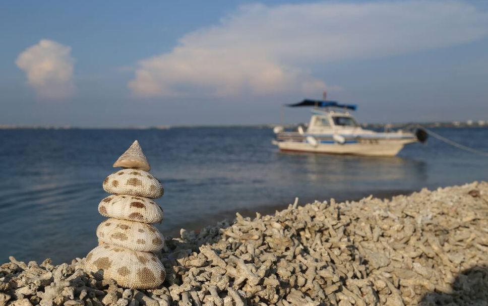 อื่น ๆ รูปภาพ