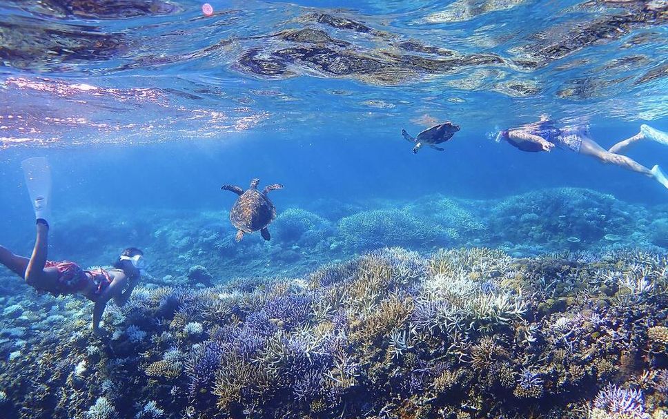 ชายหาด รูปภาพ