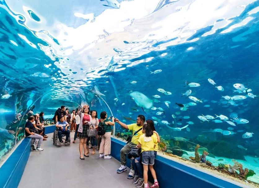 อื่น ๆ รูปภาพ