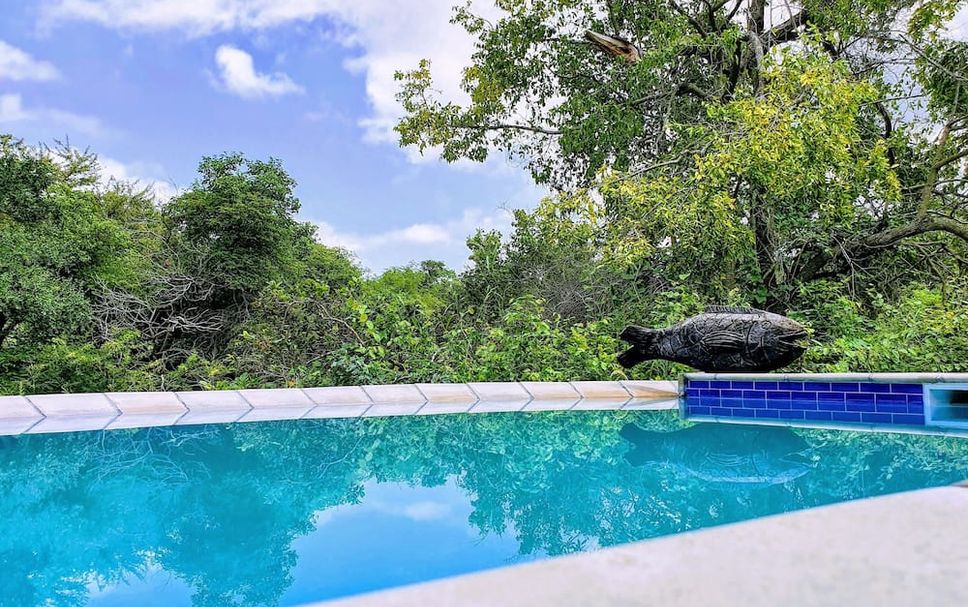 สระว่ายน้ำ รูปภาพ