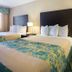อื่น ๆ