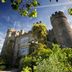 อื่น ๆ
