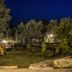 อื่น ๆ