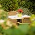 ลาน