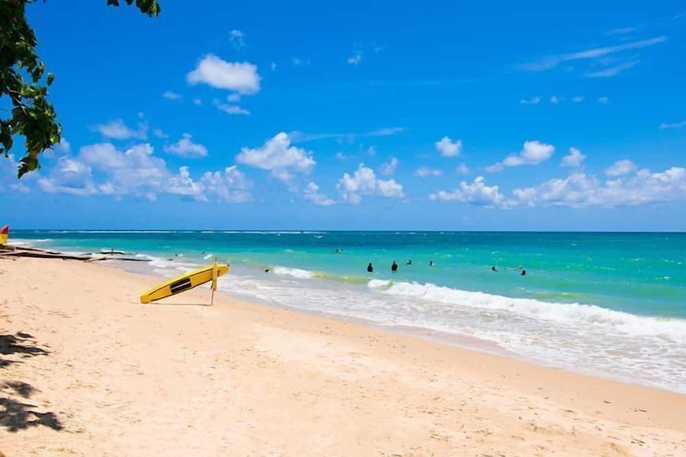 ชายหาด