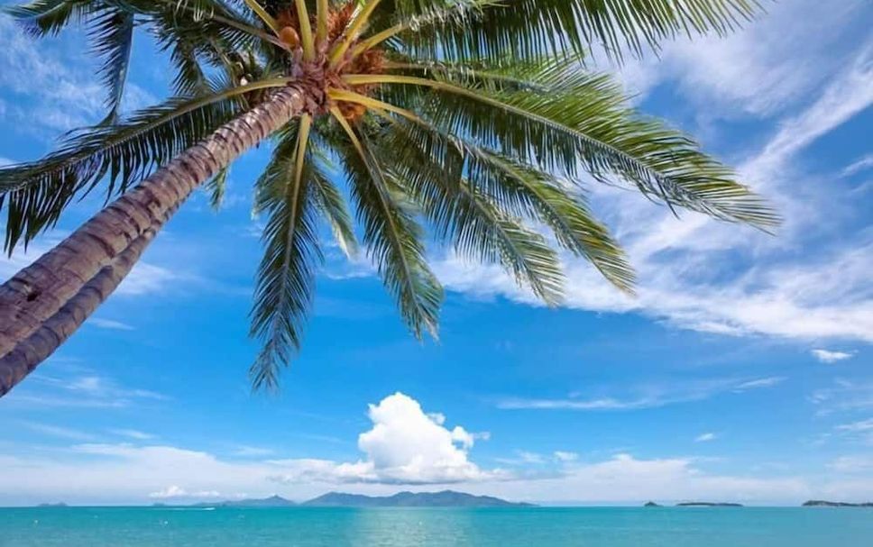 ชายหาด รูปภาพ