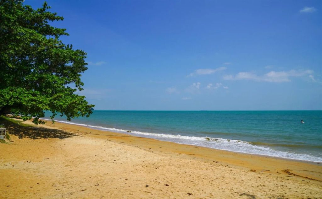 ชายหาด