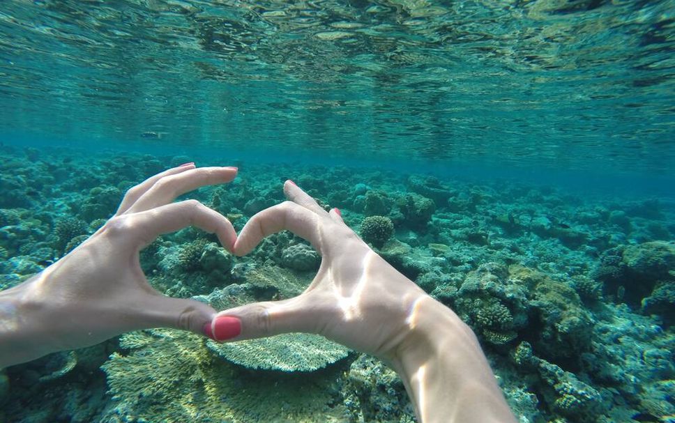 อื่น ๆ รูปภาพ