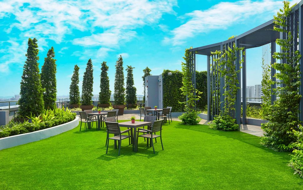 ลาน รูปภาพ