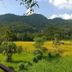 วิวภายนอก