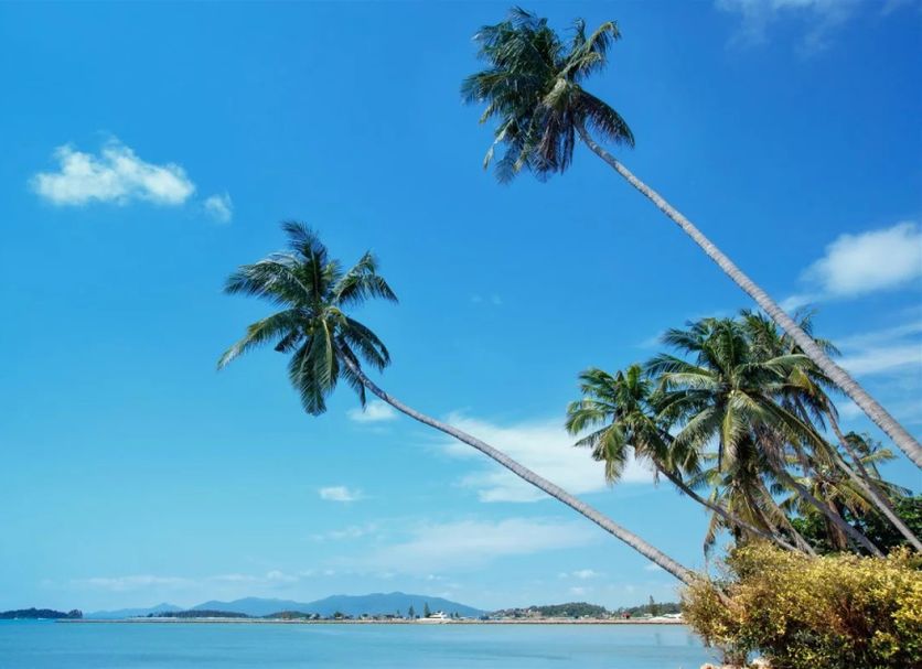 ชายหาด รูปภาพ