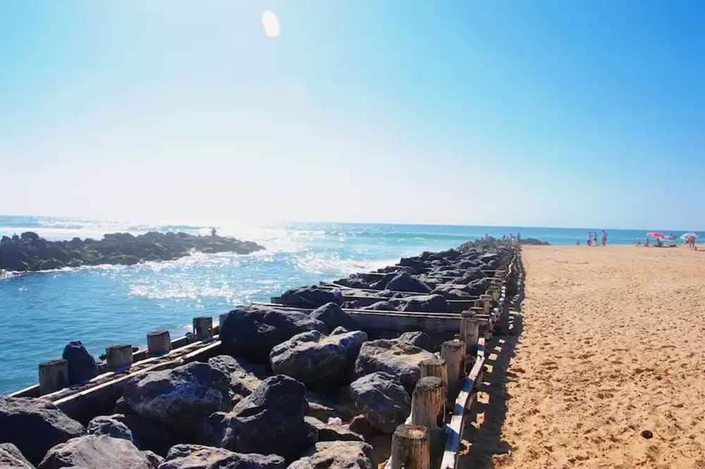ชายหาด