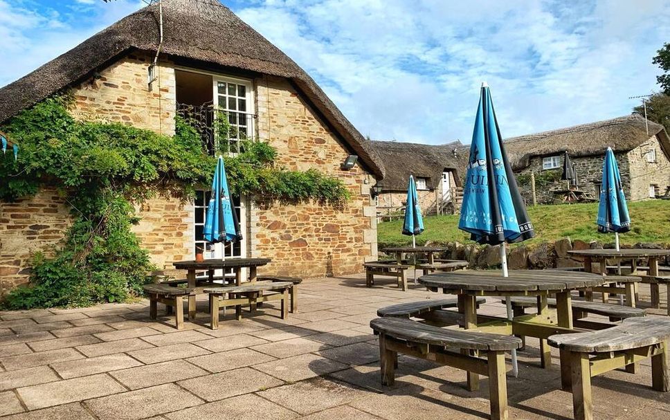 ลาน รูปภาพ