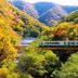 อื่น ๆ