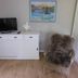 อื่น ๆ