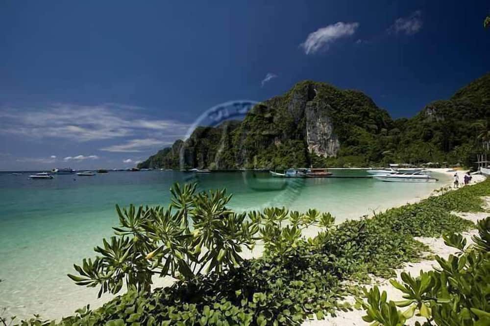 อื่น ๆ รูปภาพ