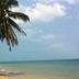 ชายหาด