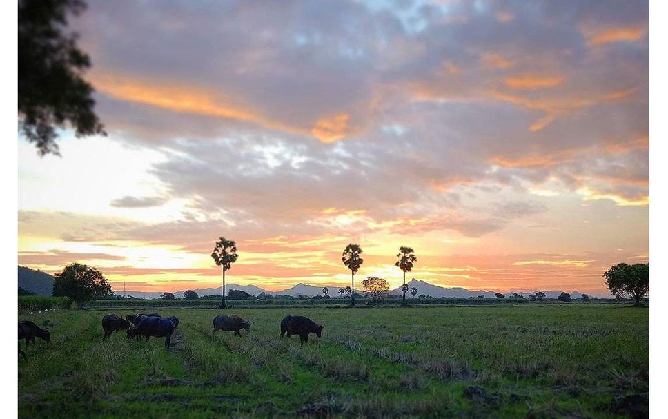 อาคาร รูปภาพ