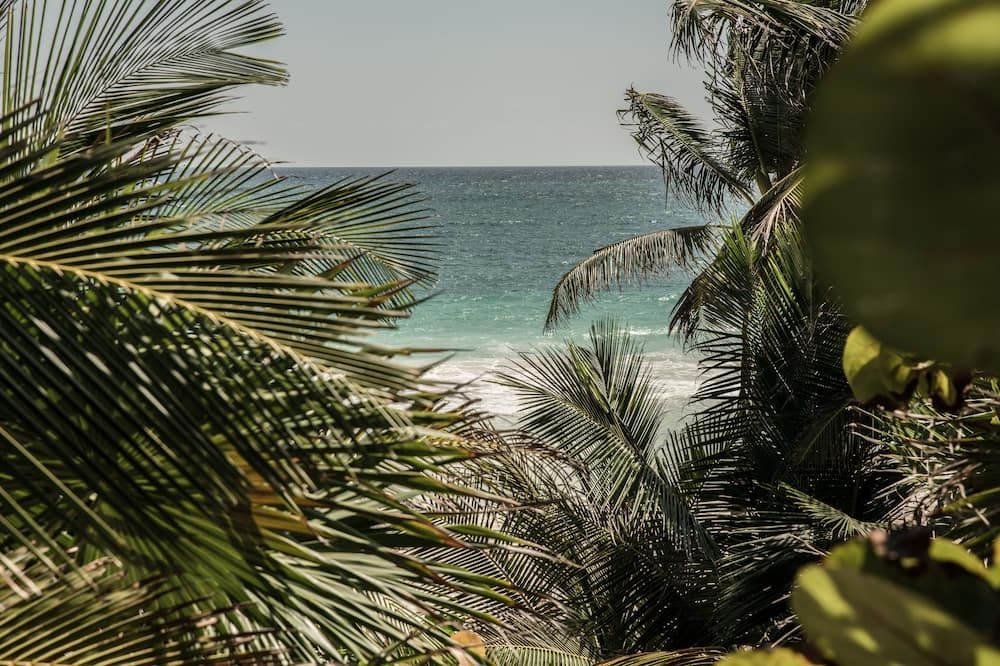 ชายหาด รูปภาพ