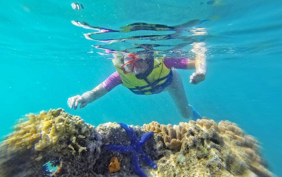 อื่น ๆ รูปภาพ