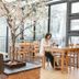 ร้านอาหาร