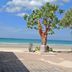 ชายหาด