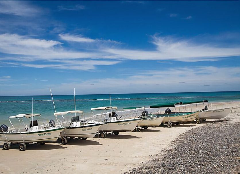 ชายหาด รูปภาพ