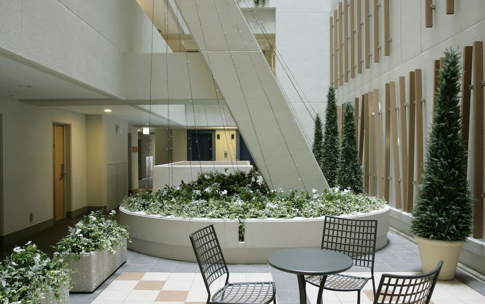 ลาน รูปภาพ