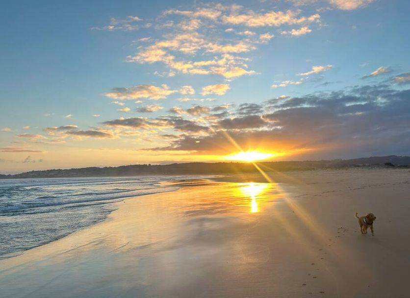 ชายหาด รูปภาพ