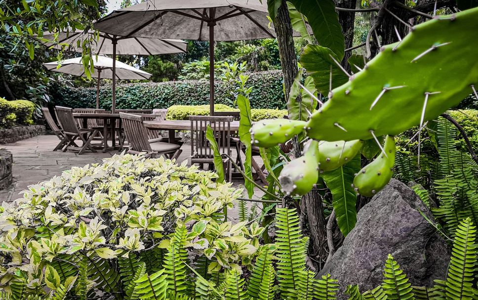 ลาน รูปภาพ