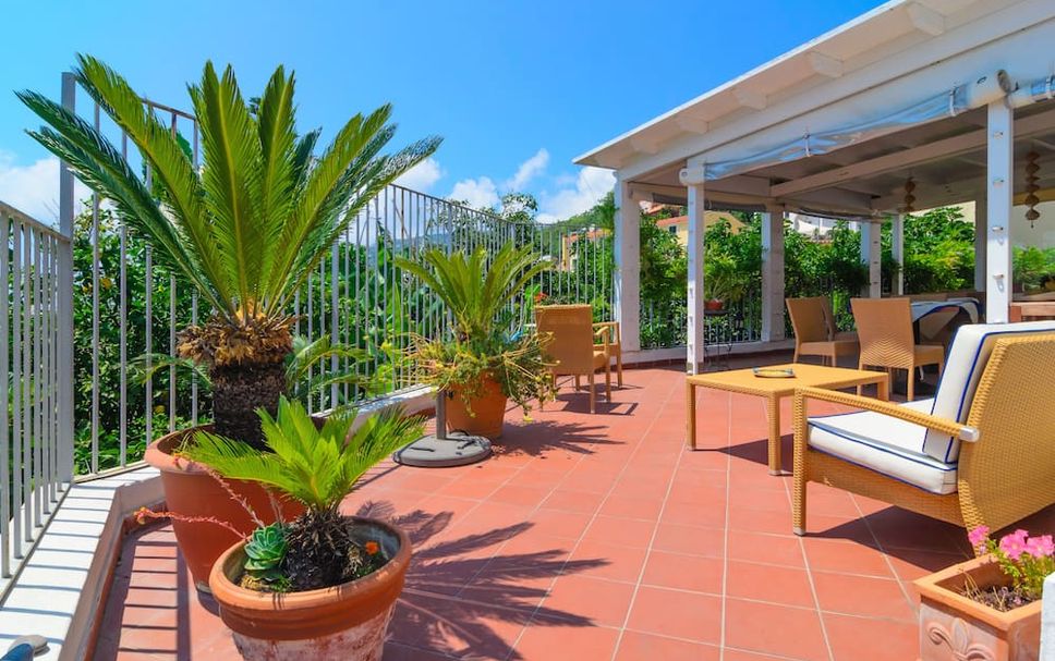 ลาน รูปภาพ