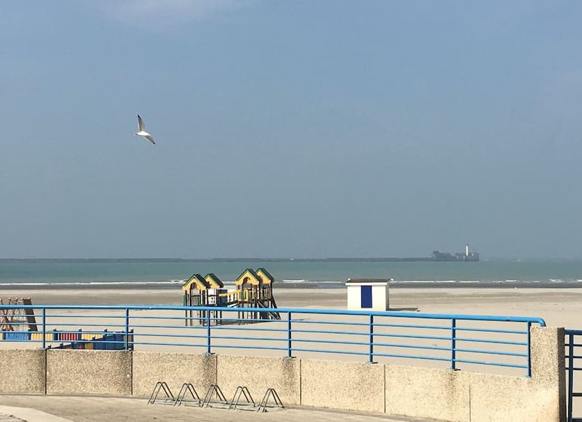 ชายหาด รูปภาพ
