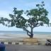 ชายหาด