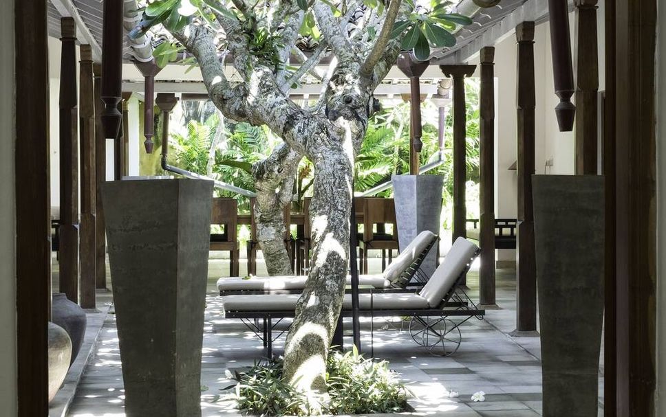 ลาน รูปภาพ