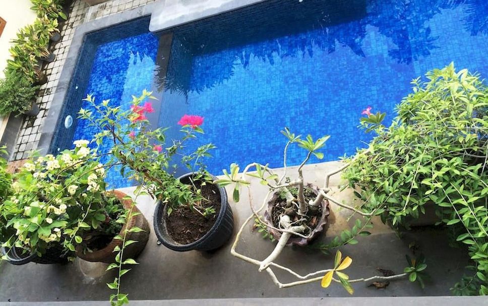 สระว่ายน้ำ รูปภาพ