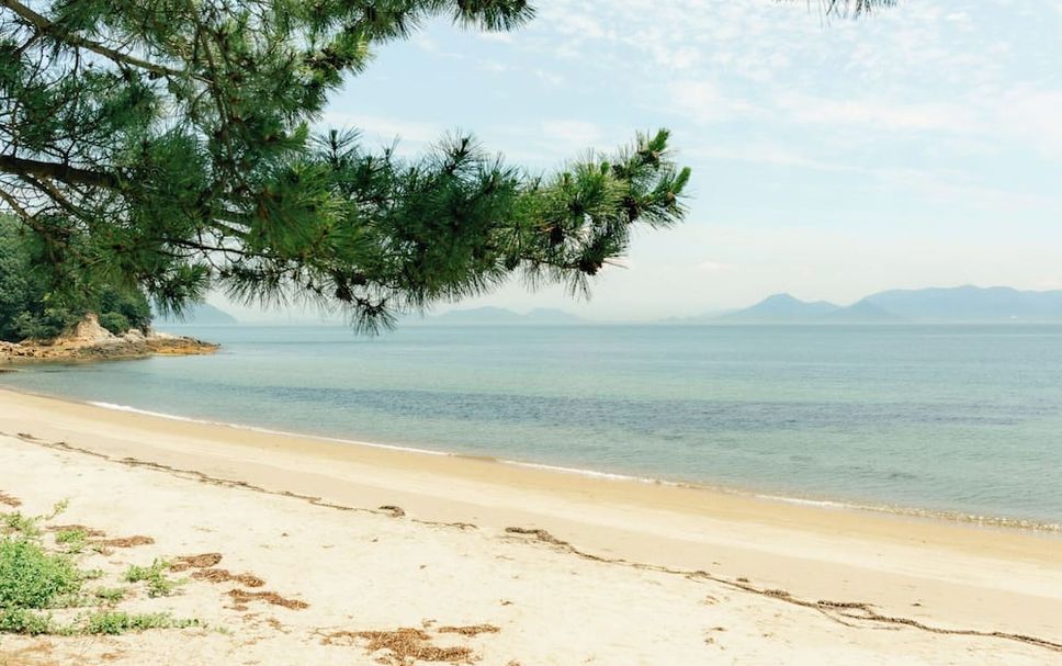 ชายหาด รูปภาพ