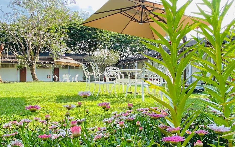 ลาน รูปภาพ