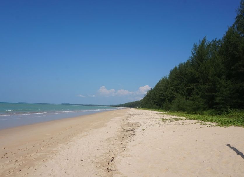 ชายหาด รูปภาพ