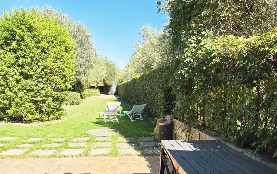 ลาน รูปภาพ