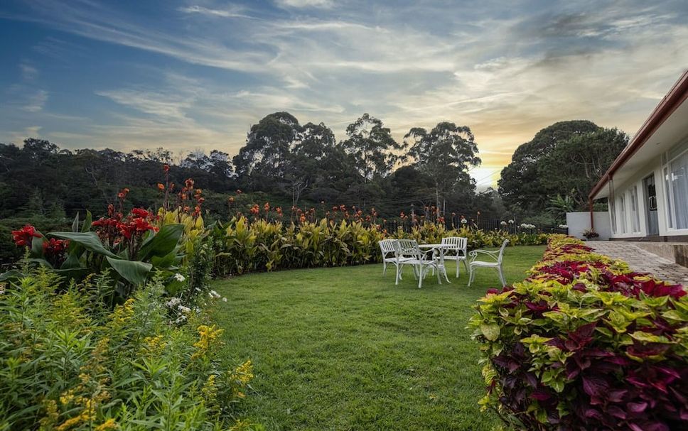 ลาน รูปภาพ