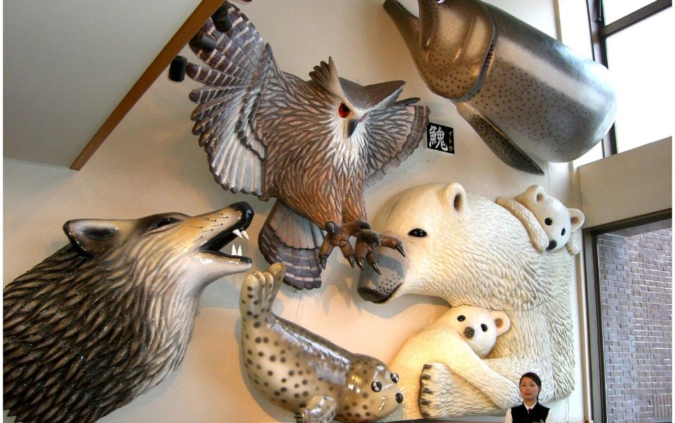 ล็อบบี้ รูปภาพ