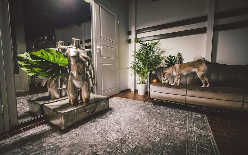 ห้องนั่งเล่น รูปภาพ